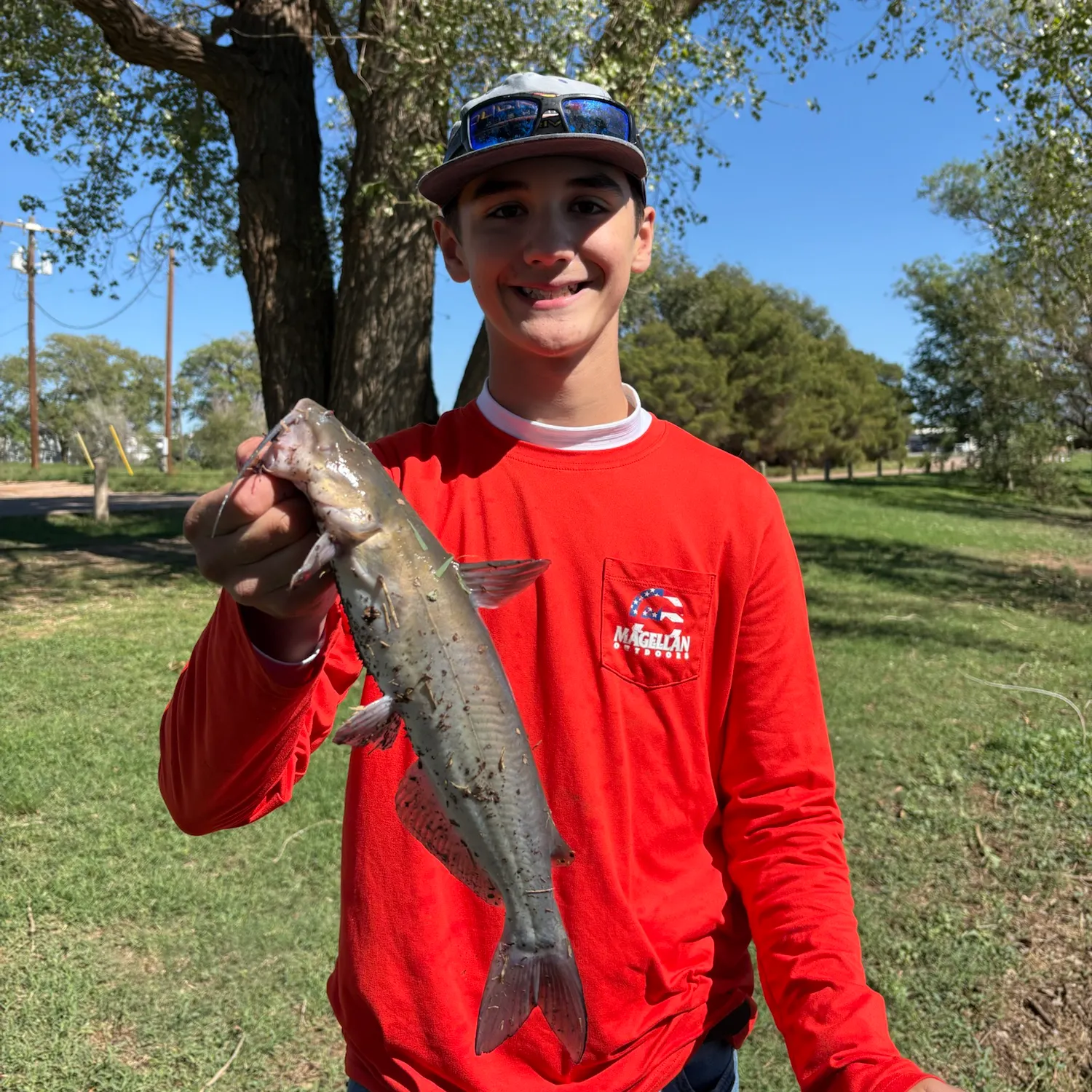 Channel catfish caught on Fishbrain