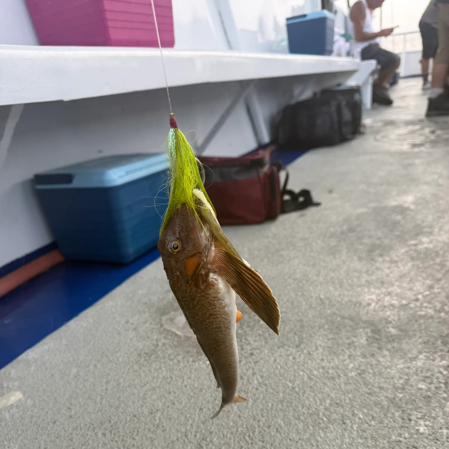 catch