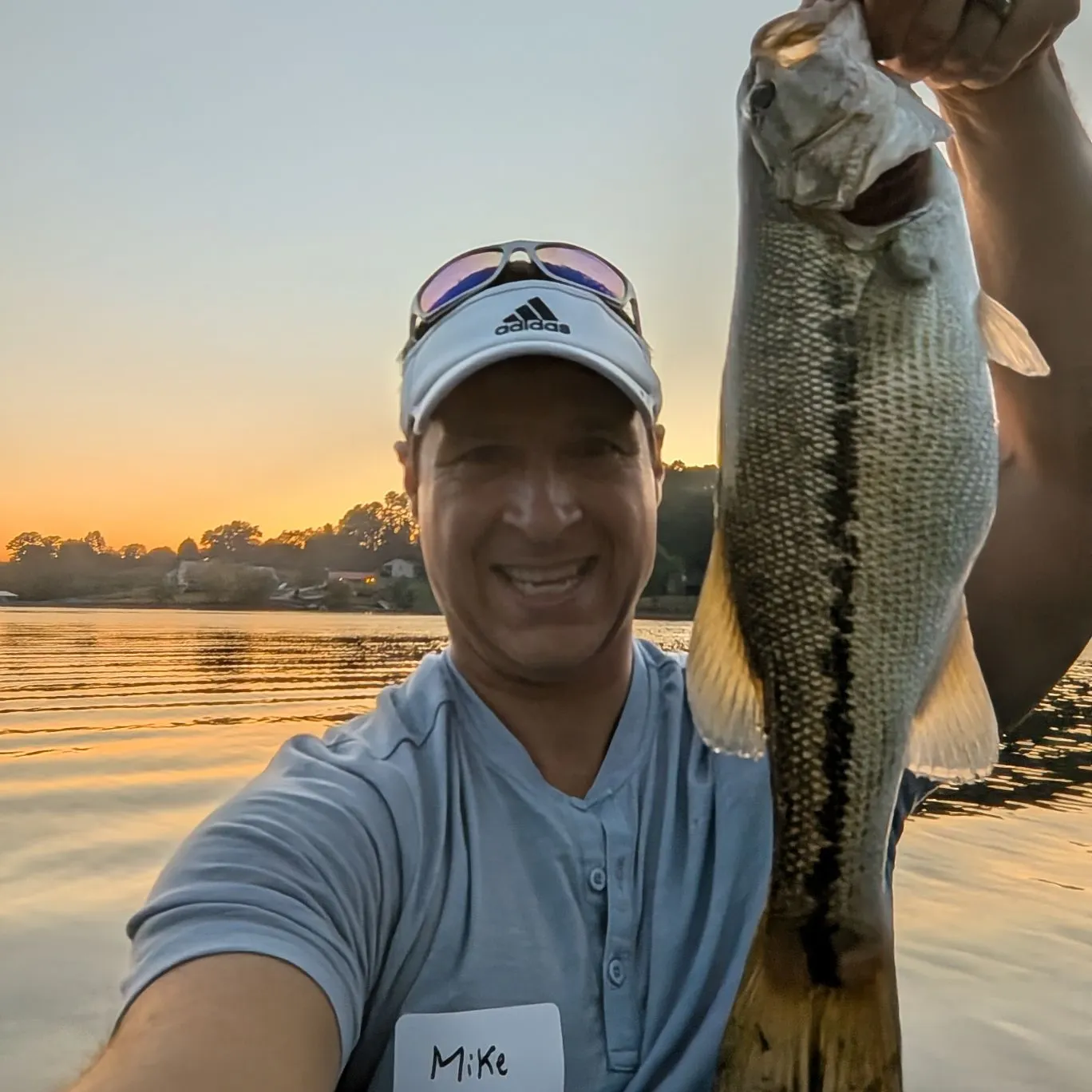 Spotted bass caught on Fishbrain