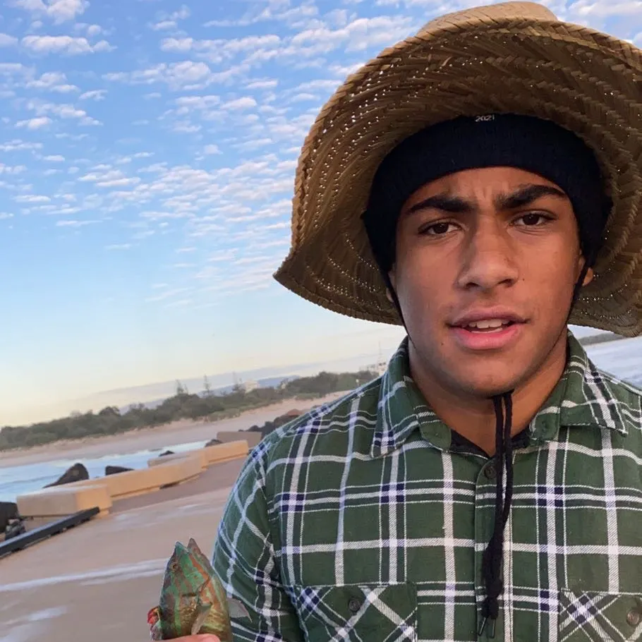 The most recent Gunther's wrasse catches on Fishbrain