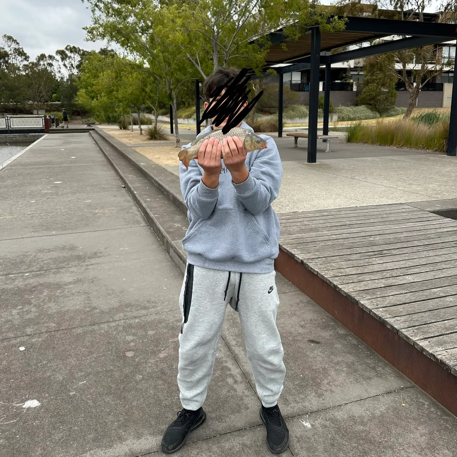 The most recent Common carp catches on Fishbrain