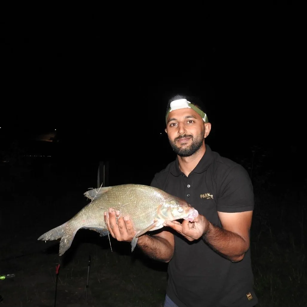 Common bream caught on Fishbrain