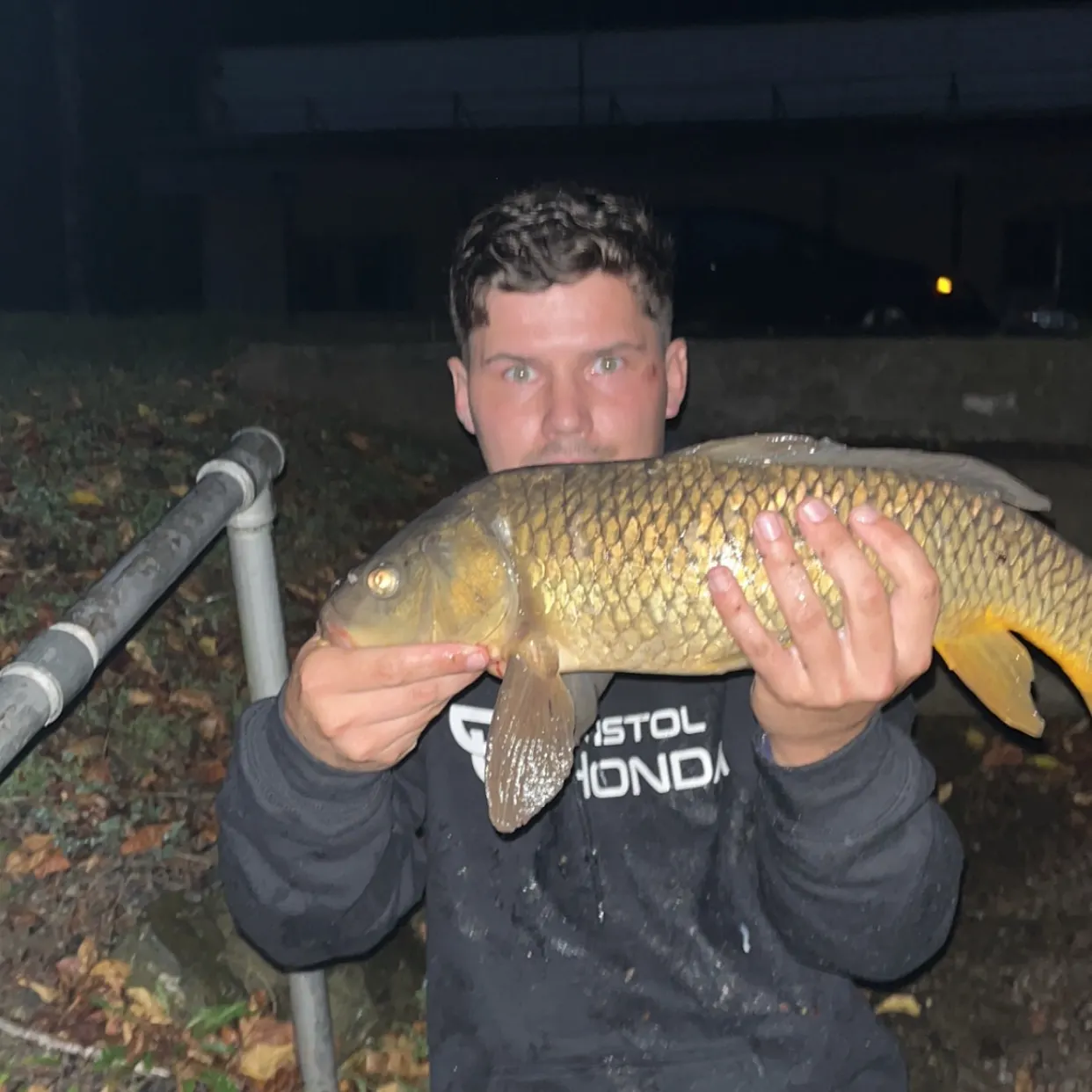 Common carp caught on Fishbrain