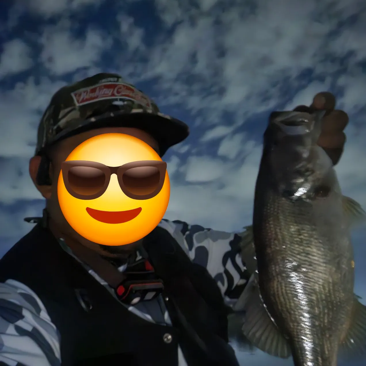 Spotted bass caught on Fishbrain