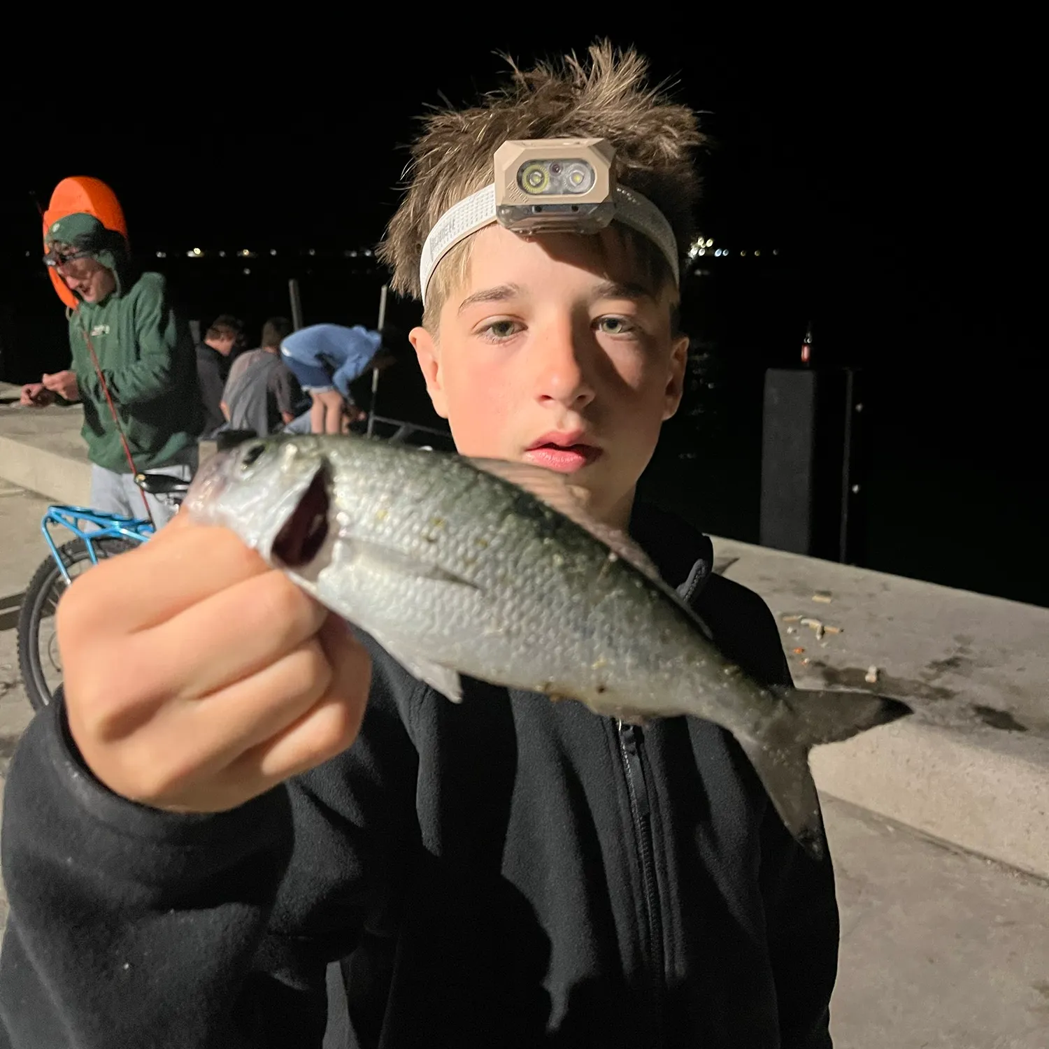 The most recent Australian ruff catches on Fishbrain