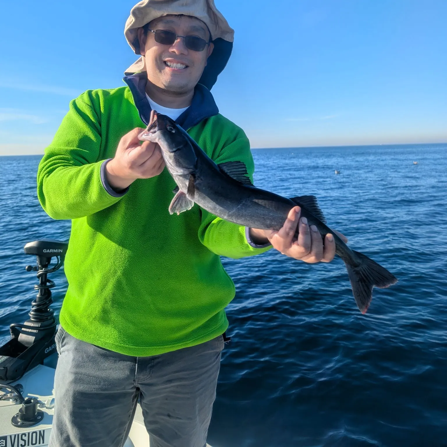 The most recent Sablefish catches on Fishbrain