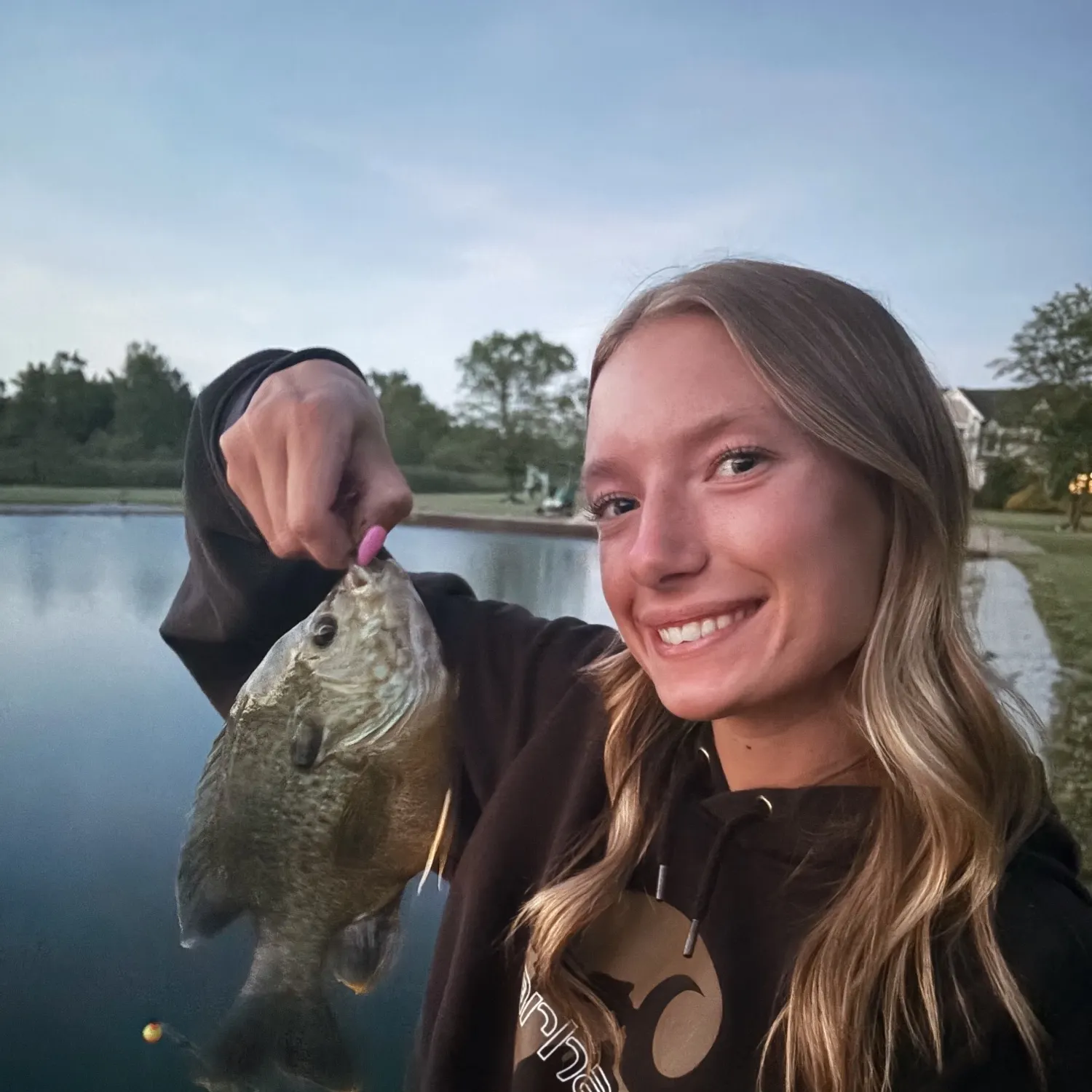 Green sunfish caught on Fishbrain