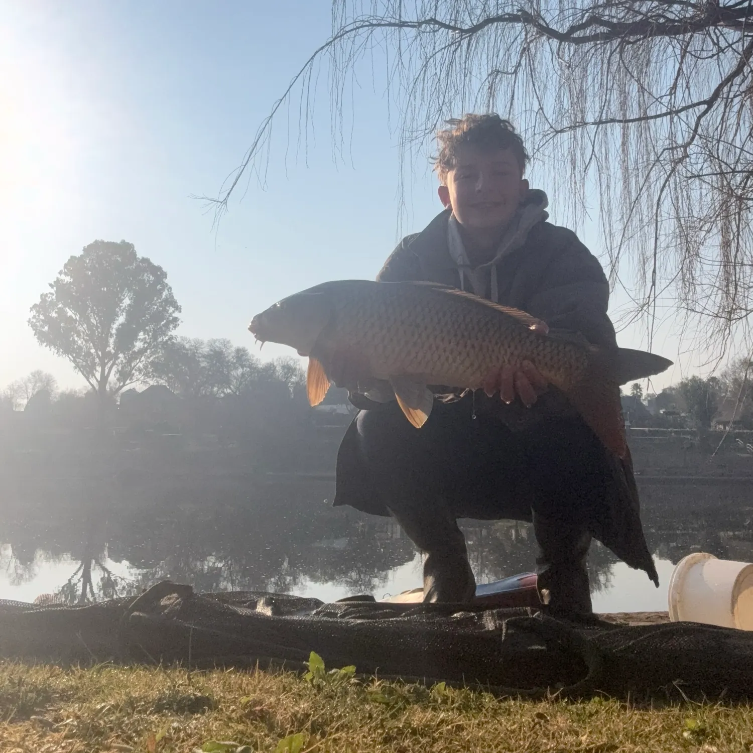 Common carp caught on Fishbrain