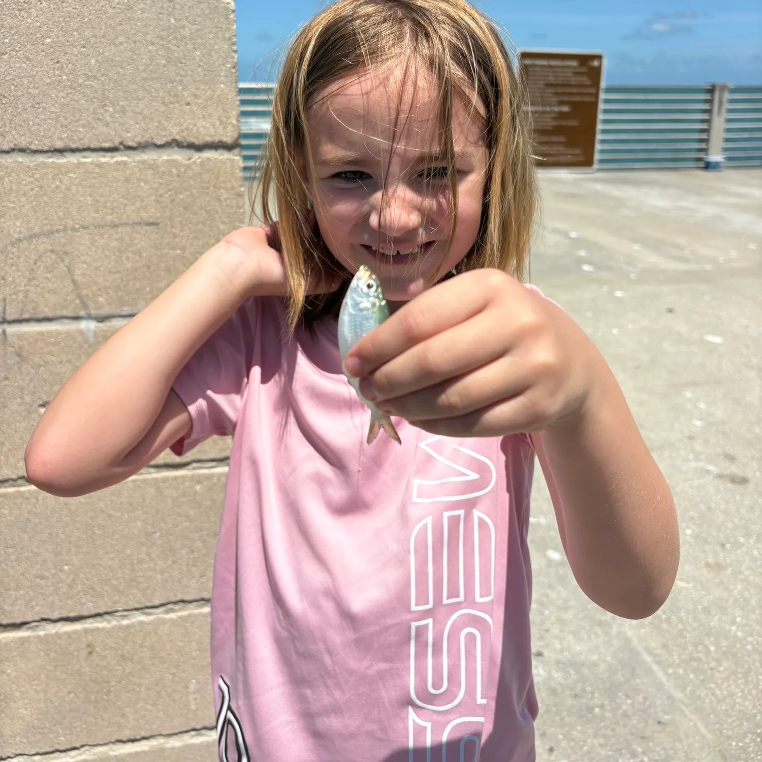 The most recent Atlantic thread herring catches on Fishbrain