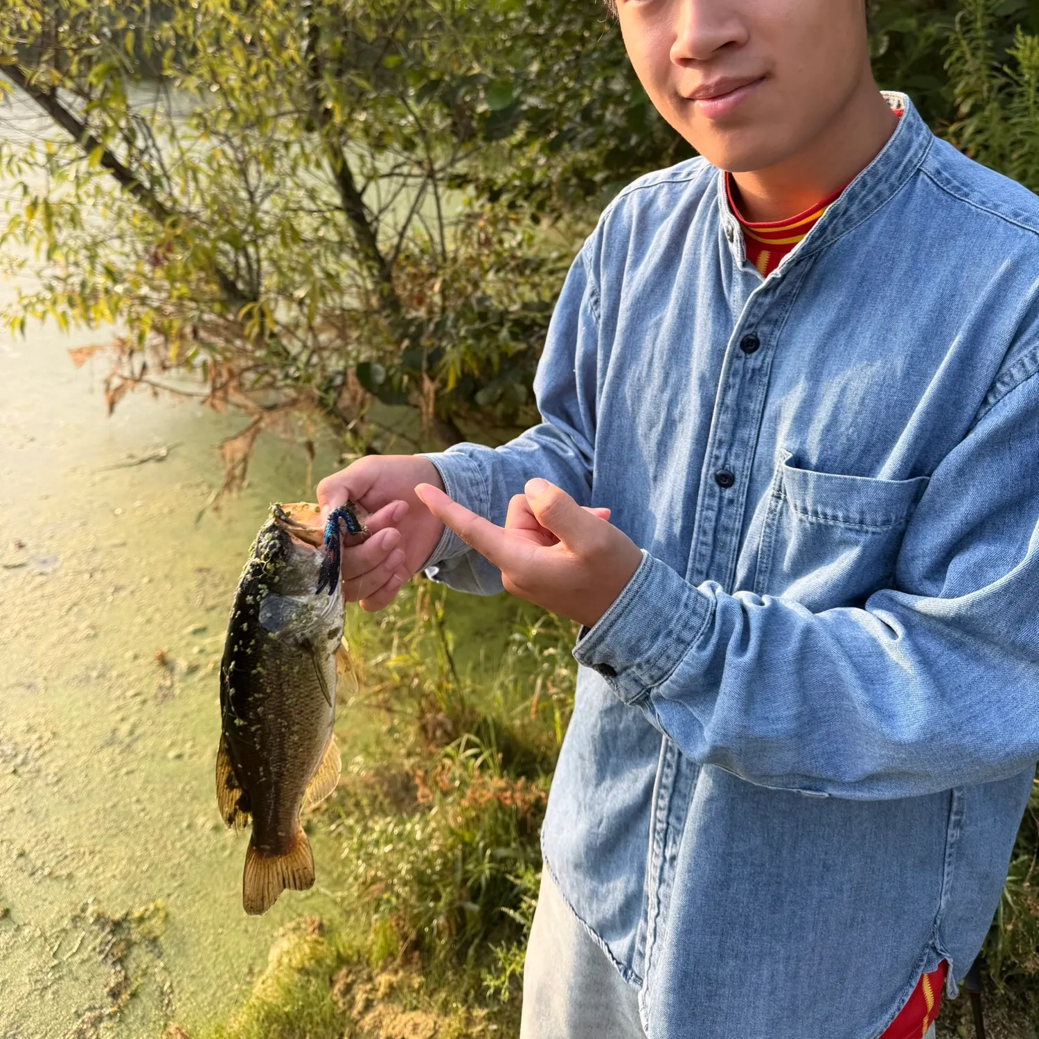 Largemouth bass caught on Fishbrain