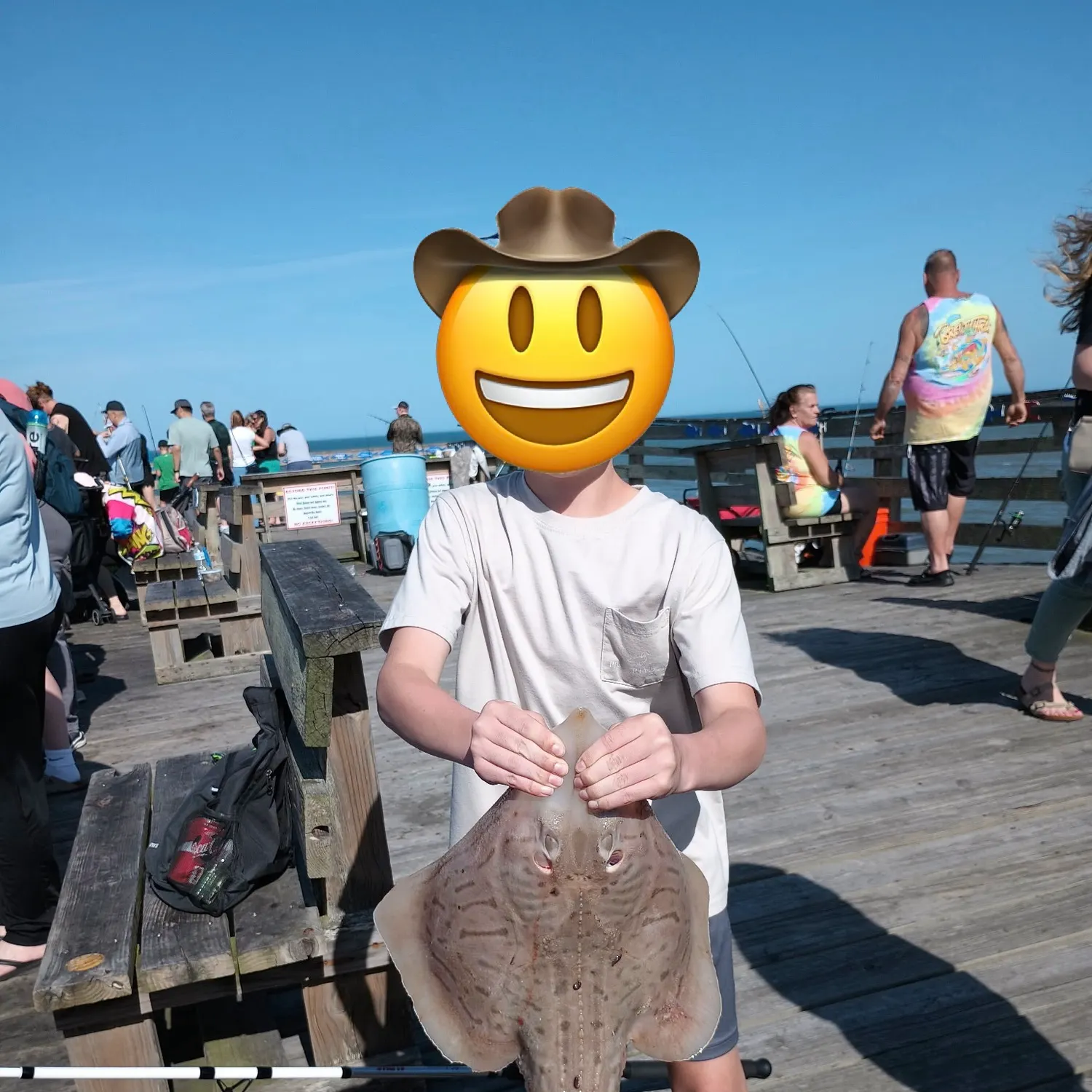 The most recent Little Skate catches on Fishbrain