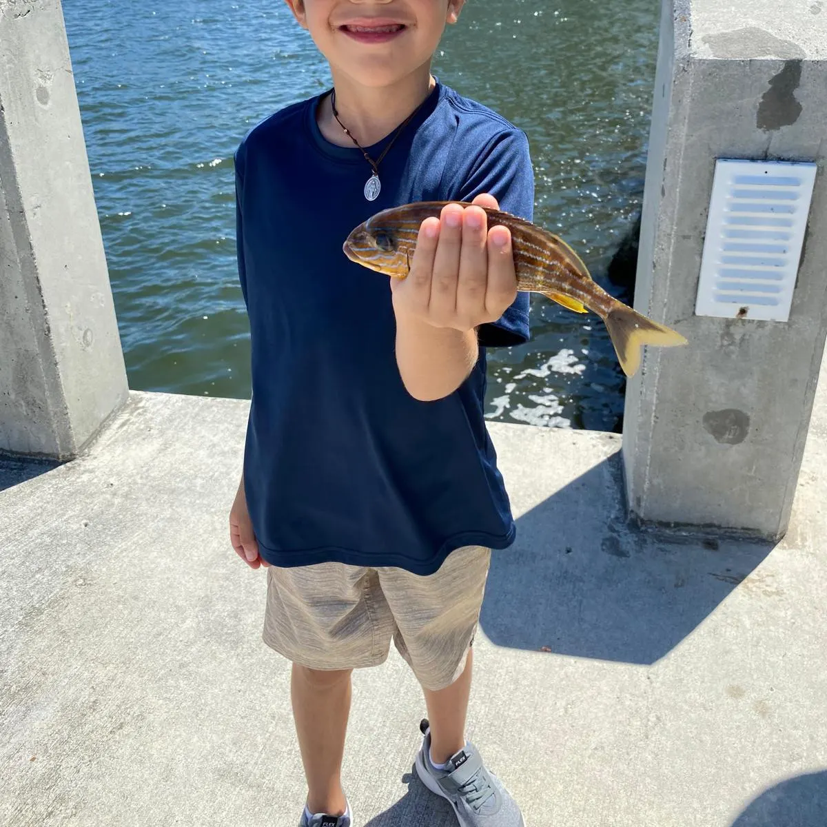 Bluestriped grunt caught on Fishbrain