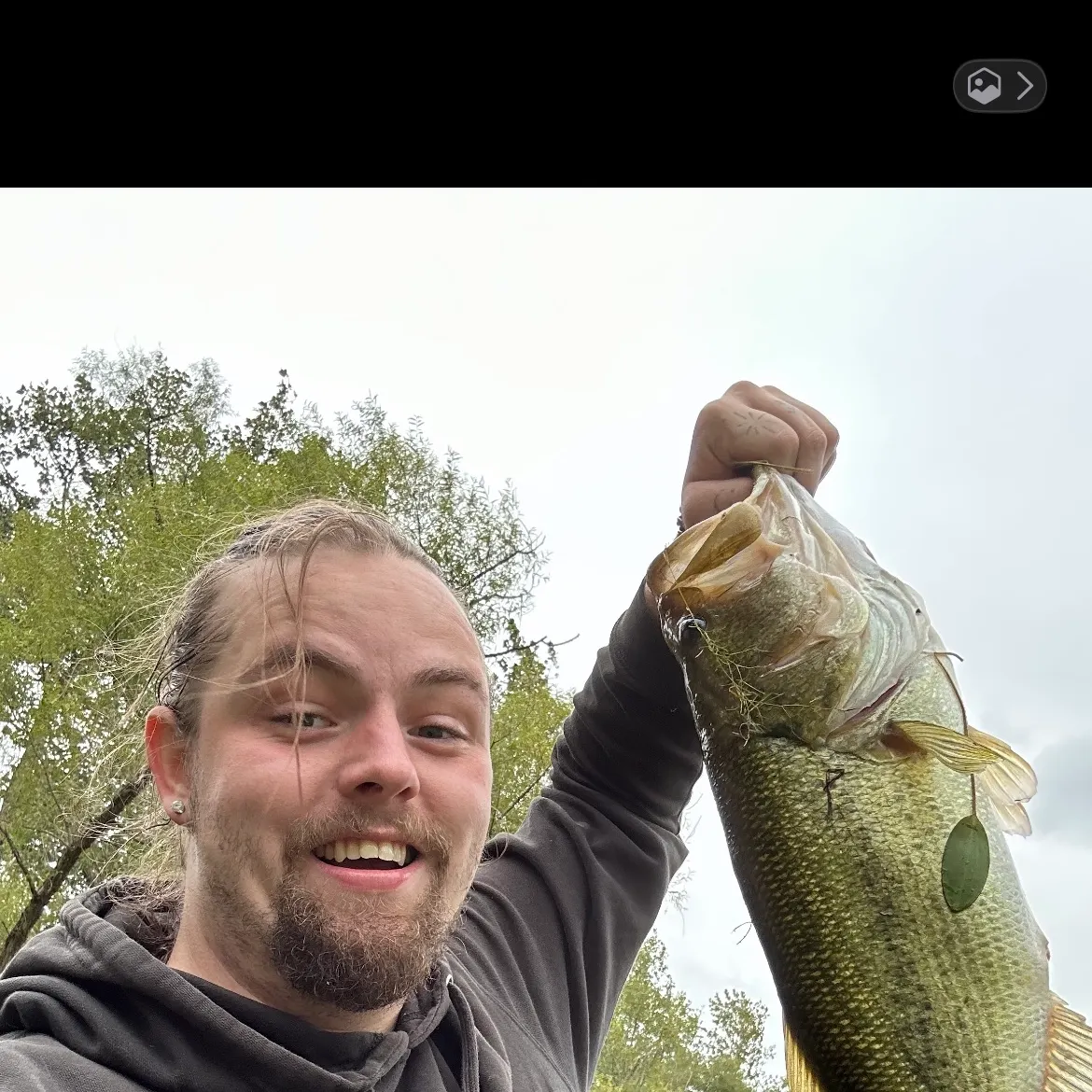 Largemouth bass caught on Fishbrain
