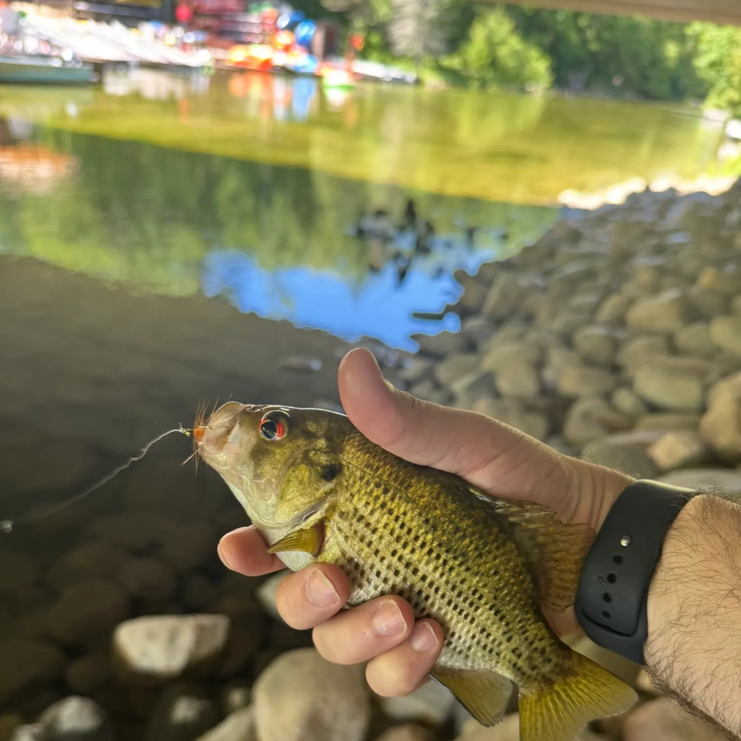 catch
