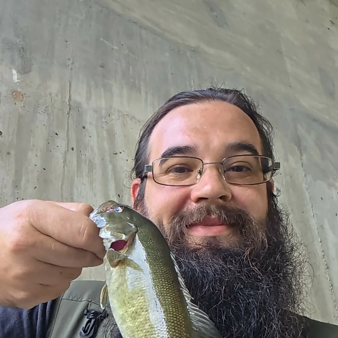 Smallmouth bass caught on Fishbrain