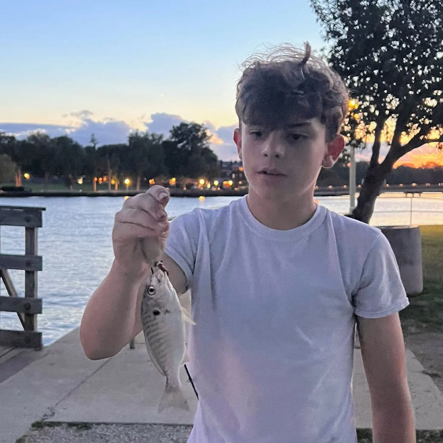 Spot croaker caught on Fishbrain