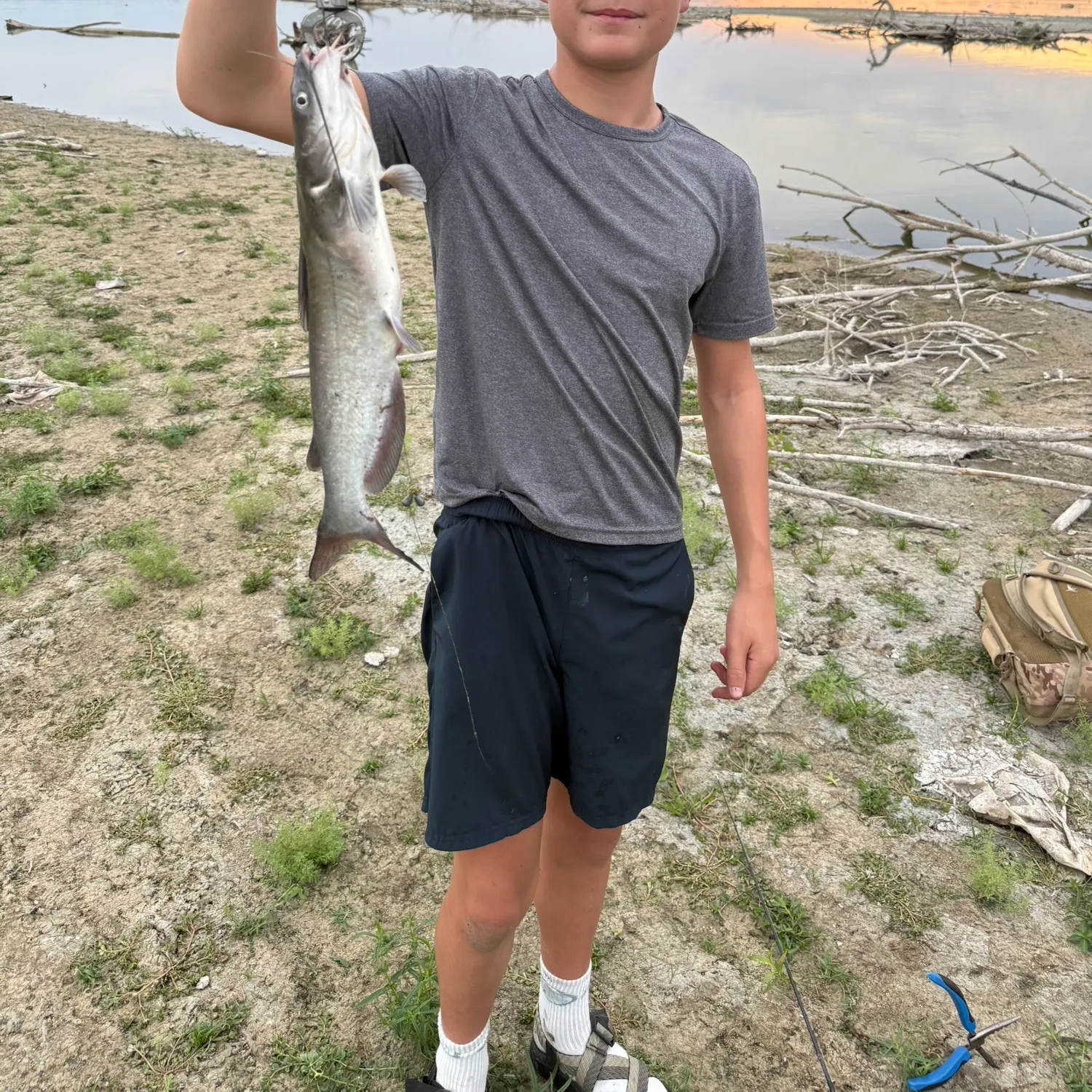 Channel catfish caught on Fishbrain