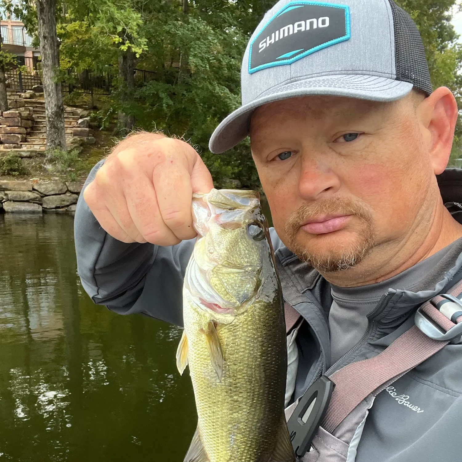 Largemouth bass caught on Fishbrain