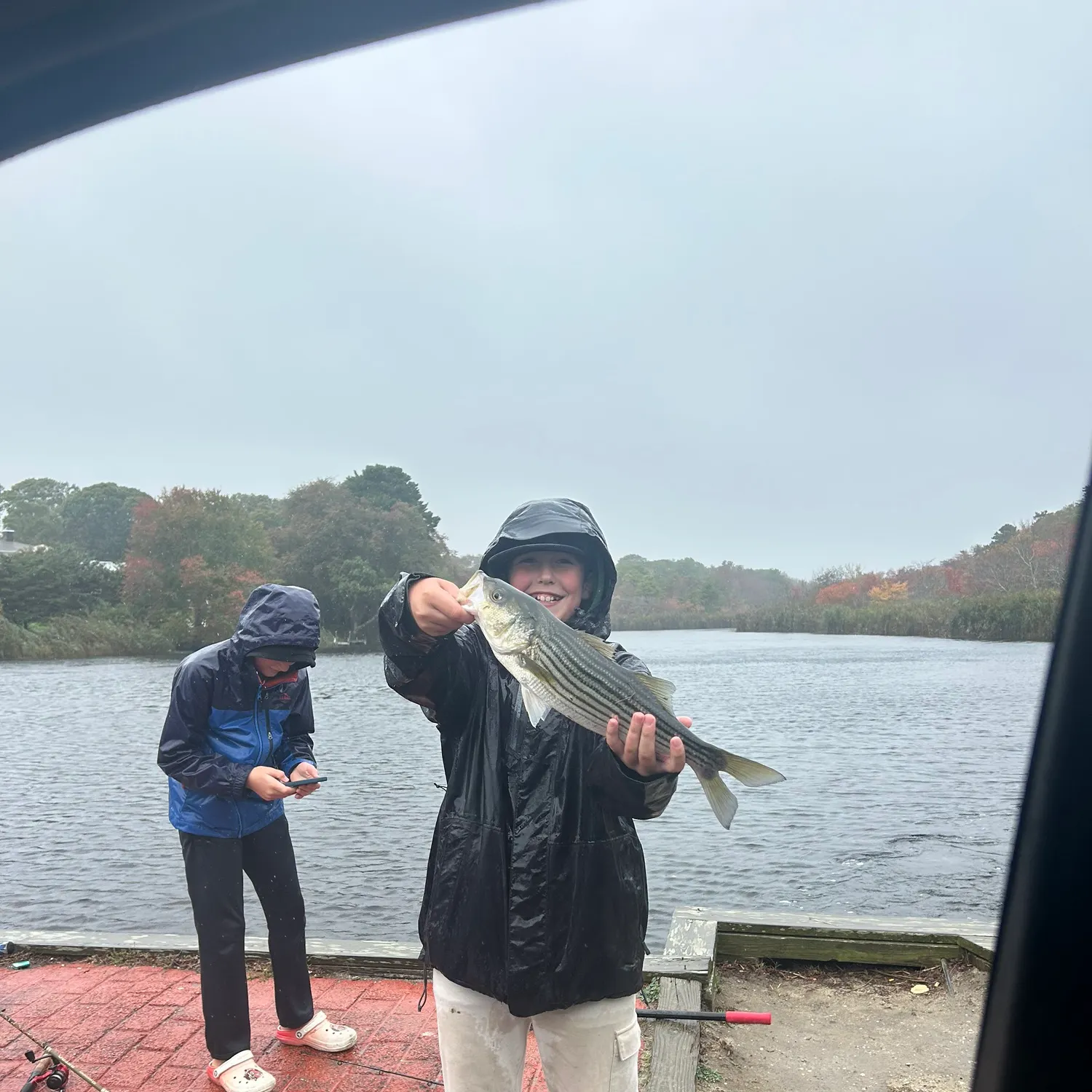 Striped bass caught on Fishbrain