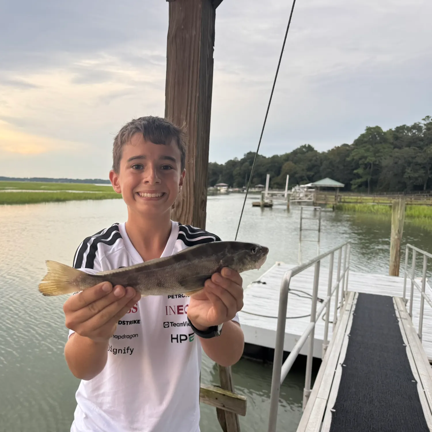 Southern kingcroaker caught on Fishbrain