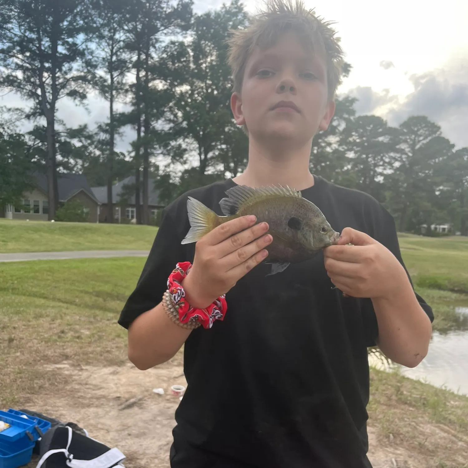 most liked catch image
