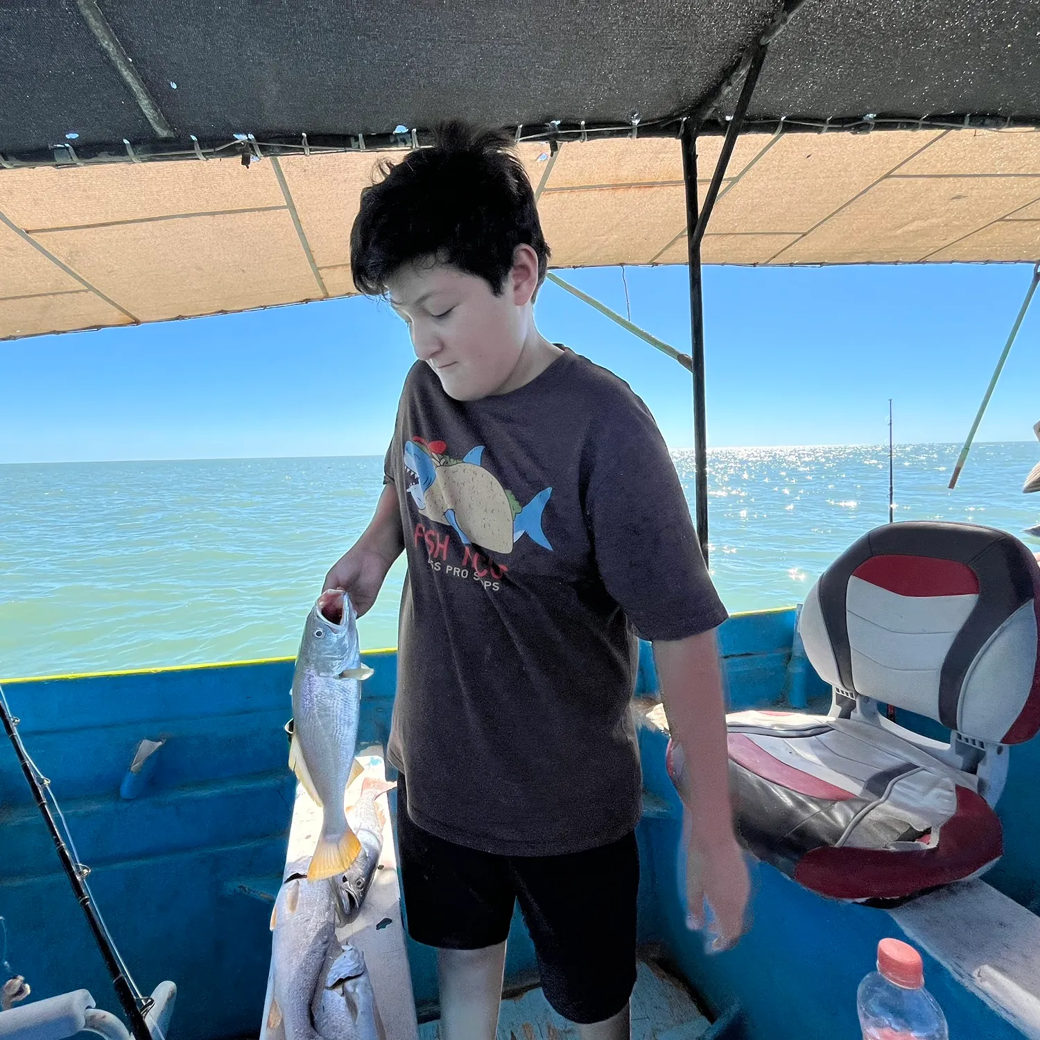 Gulf weakfish caught on Fishbrain
