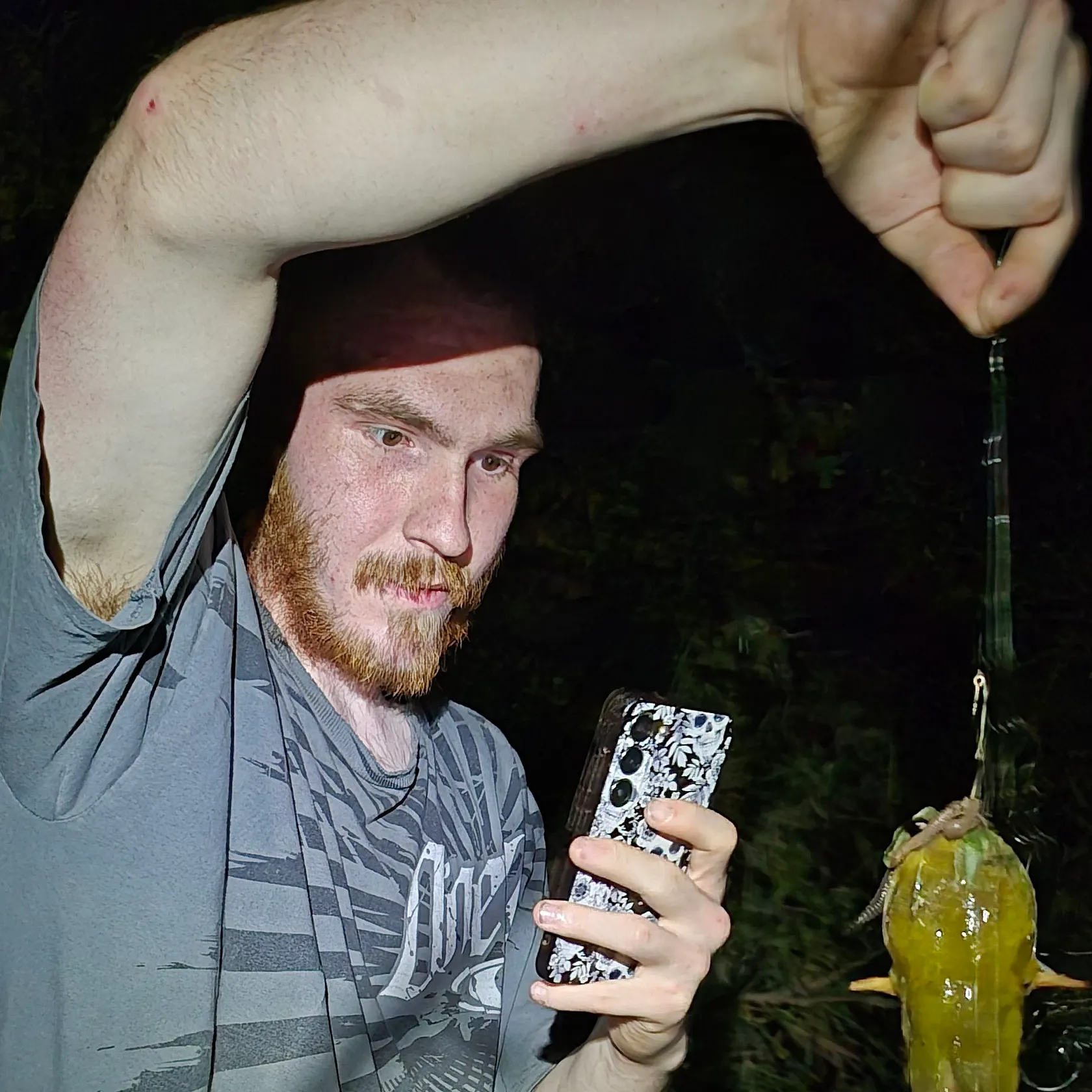 Yellow bullhead caught on Fishbrain