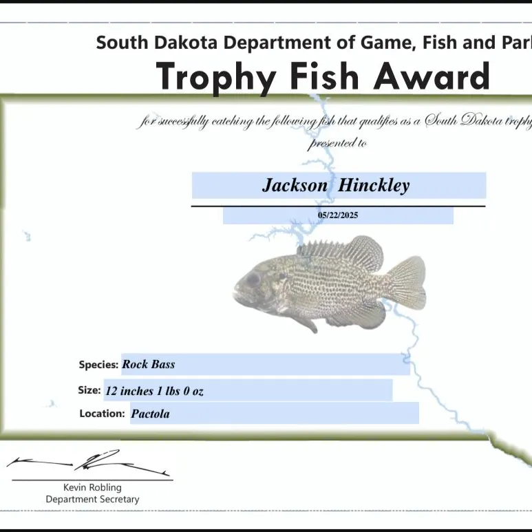 Rock bass caught on Fishbrain