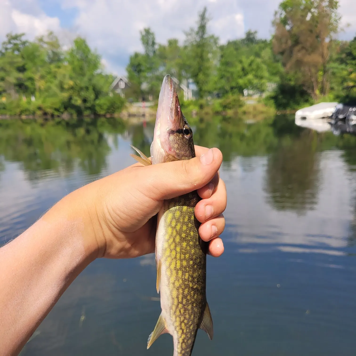 catch
