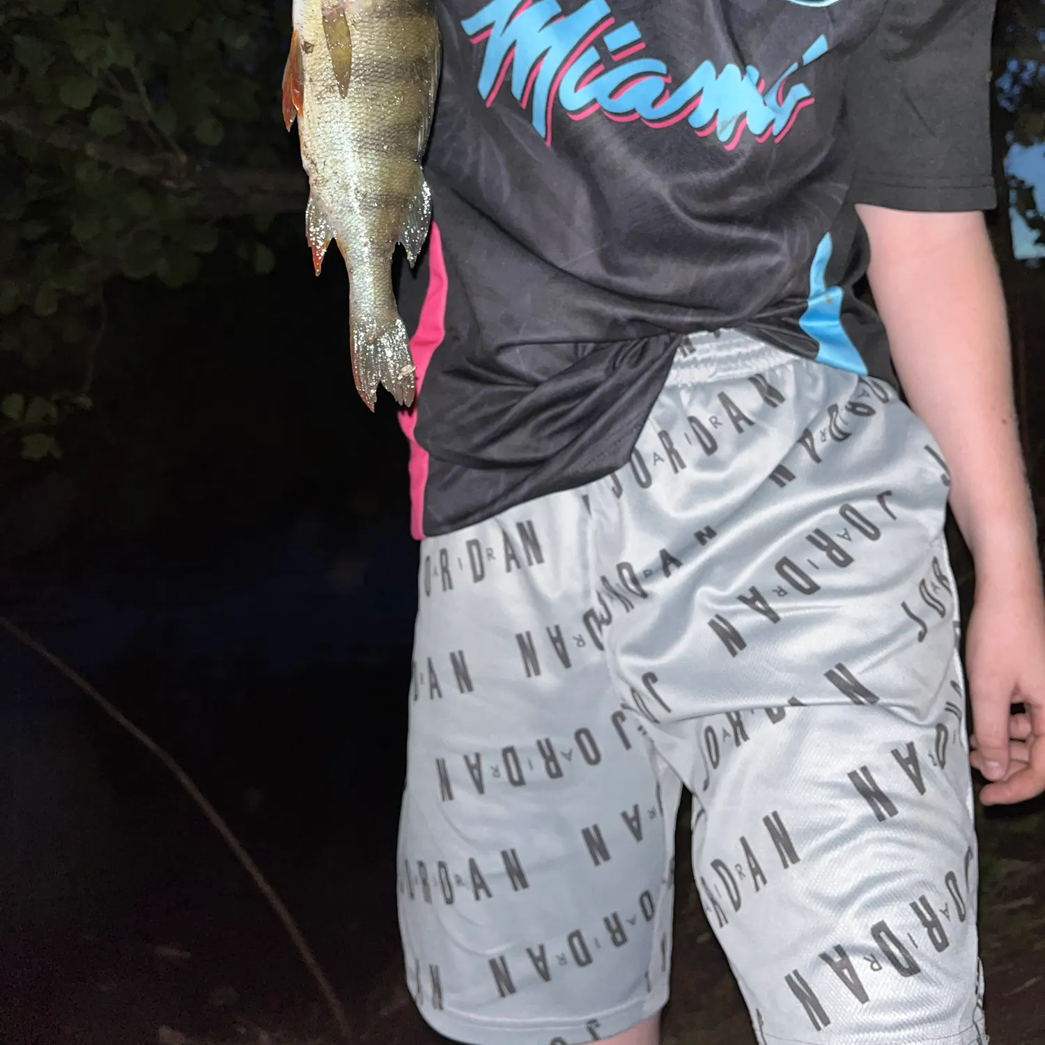 European perch caught on Fishbrain