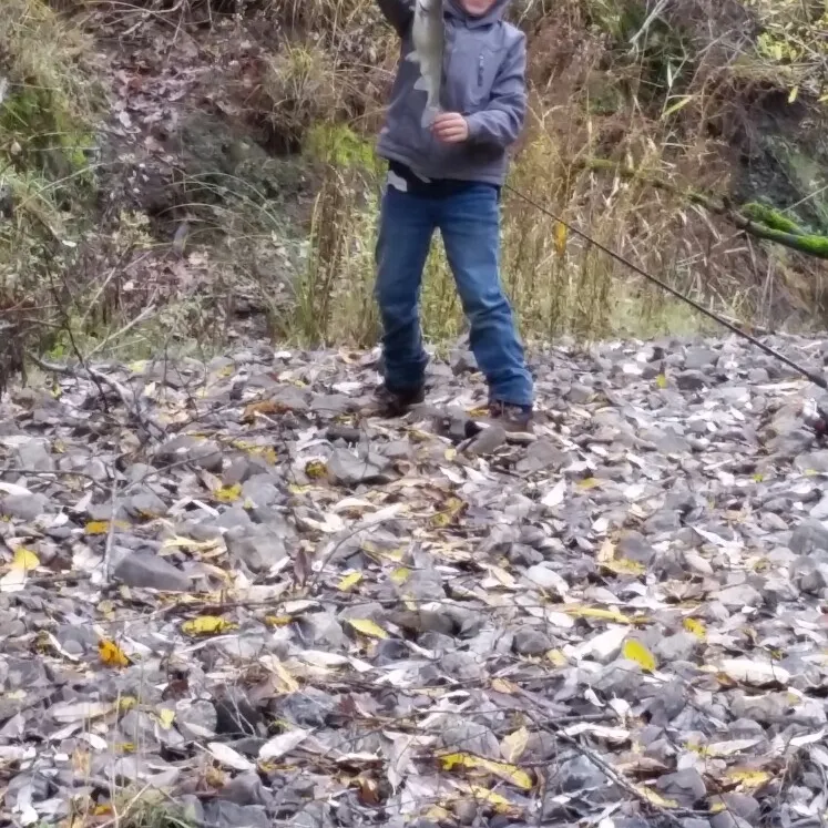 angler catch