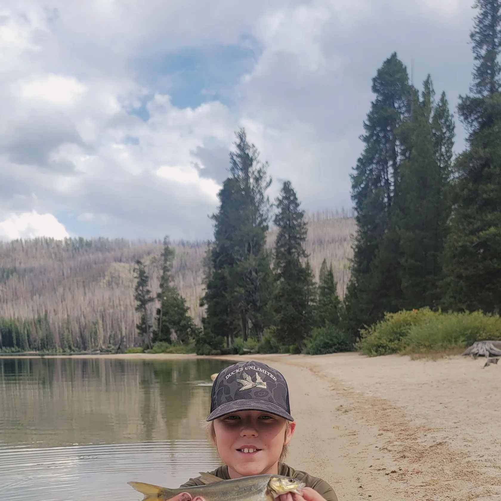 Northern pikeminnow caught on Fishbrain