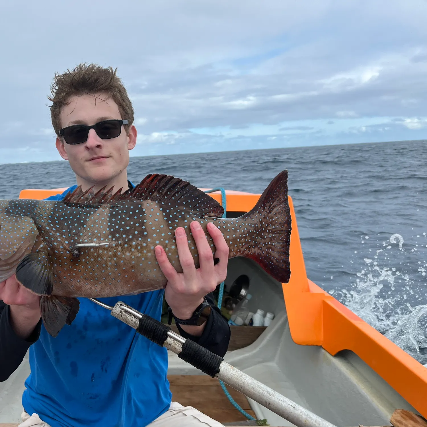 The most recent Leopard coralgrouper catches on Fishbrain