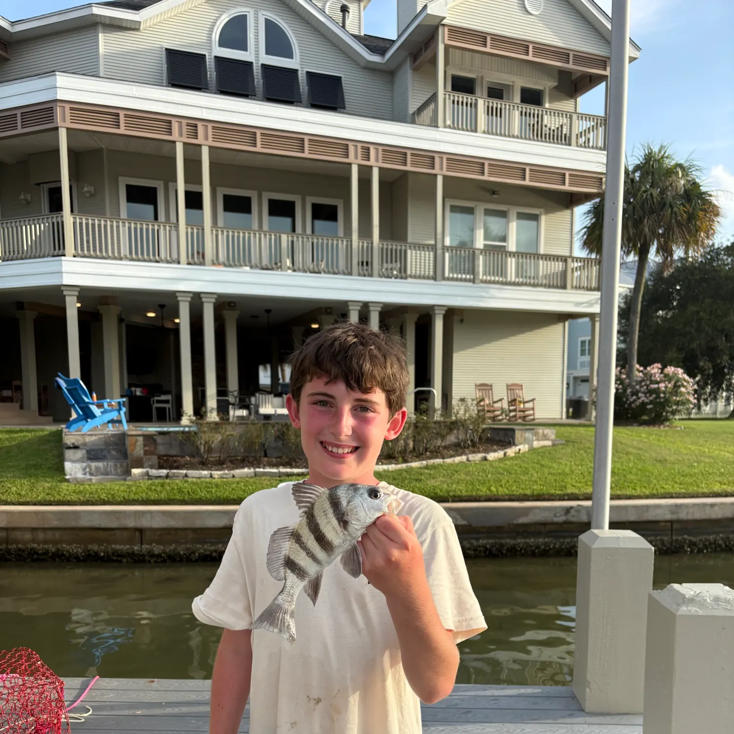 The most recent Black drum catches on Fishbrain