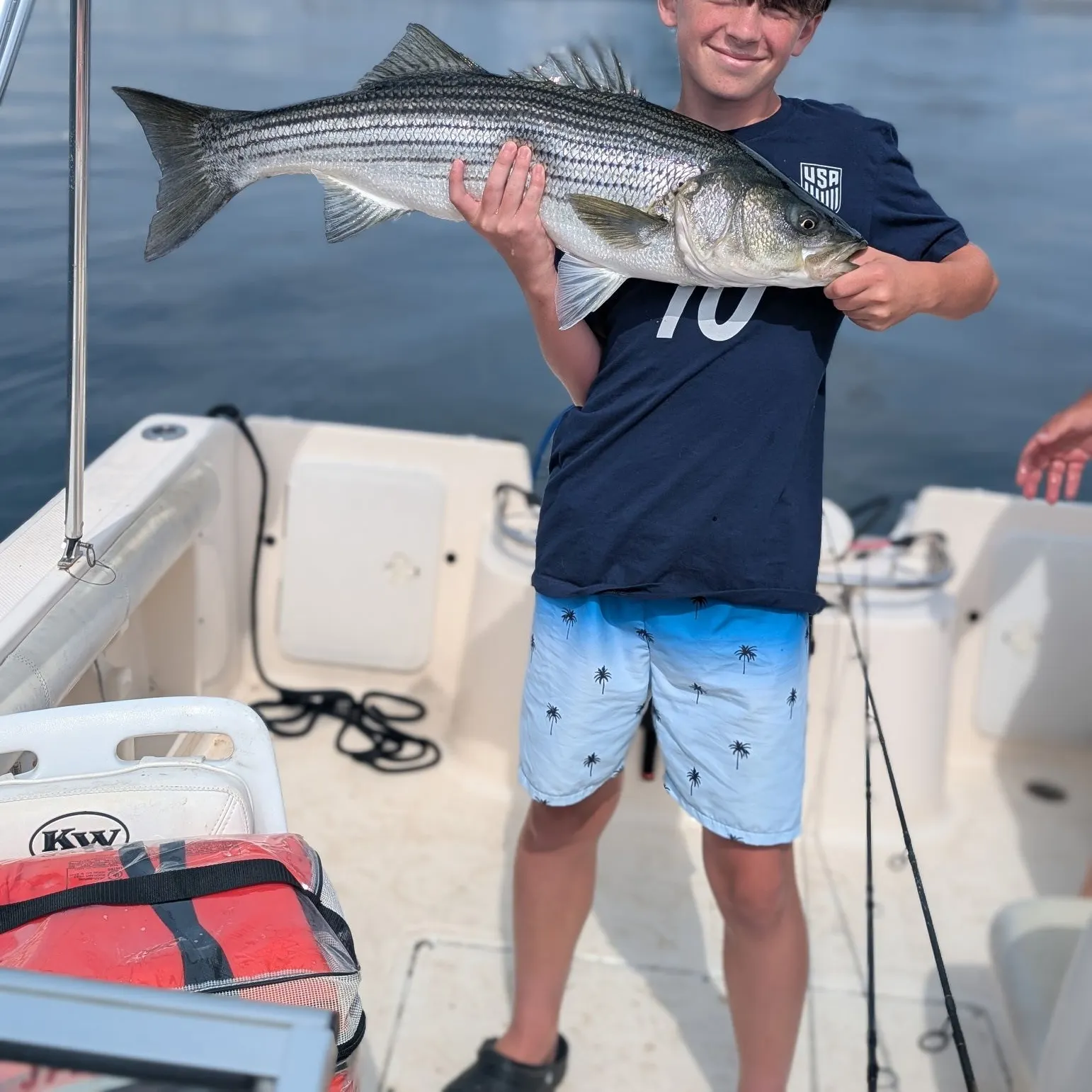 Striped bass caught on Fishbrain