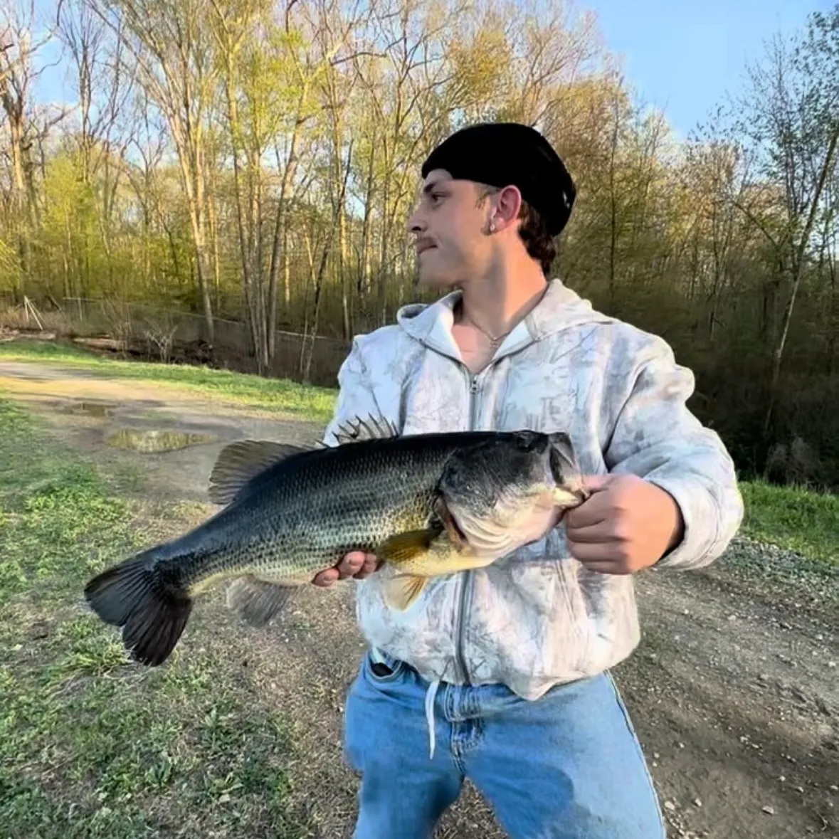 Largemouth bass caught on Fishbrain