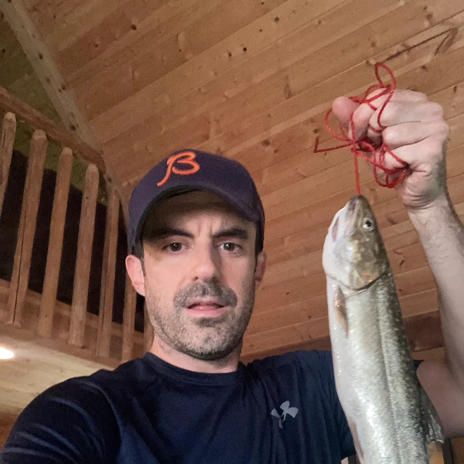The most recent Splake catches on Fishbrain