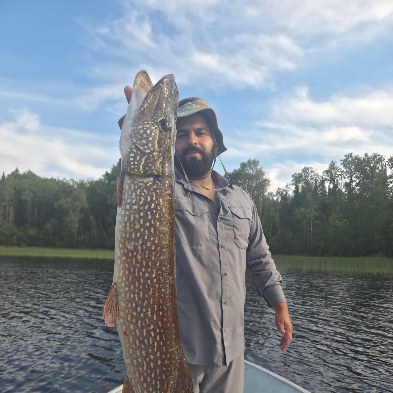 Northern pike caught on Fishbrain