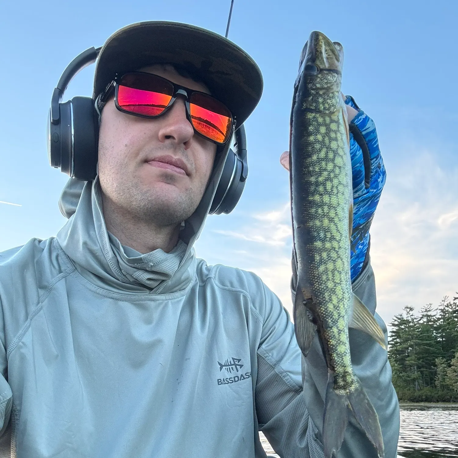 Chain pickerel caught on Fishbrain
