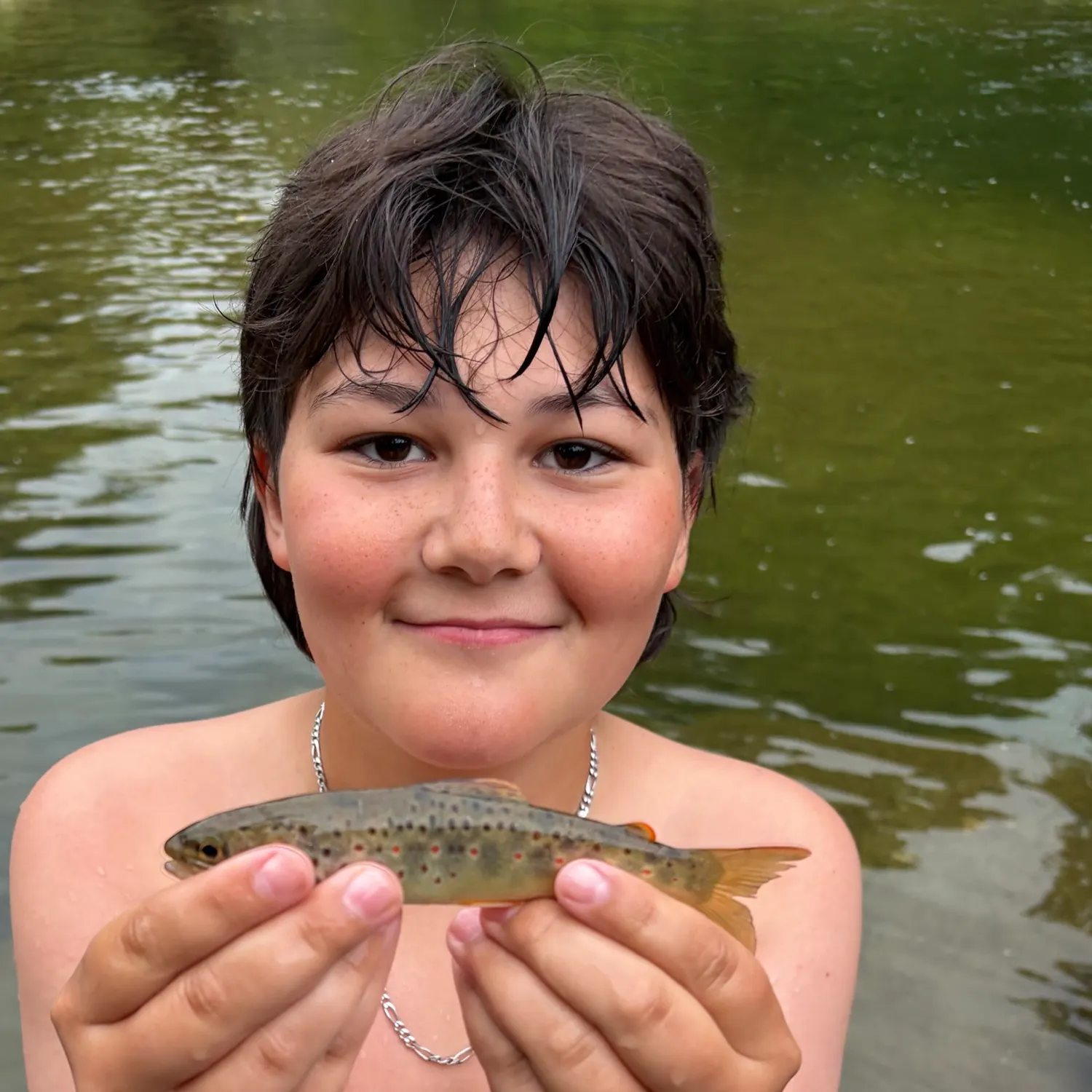 Brown trout caught on Fishbrain