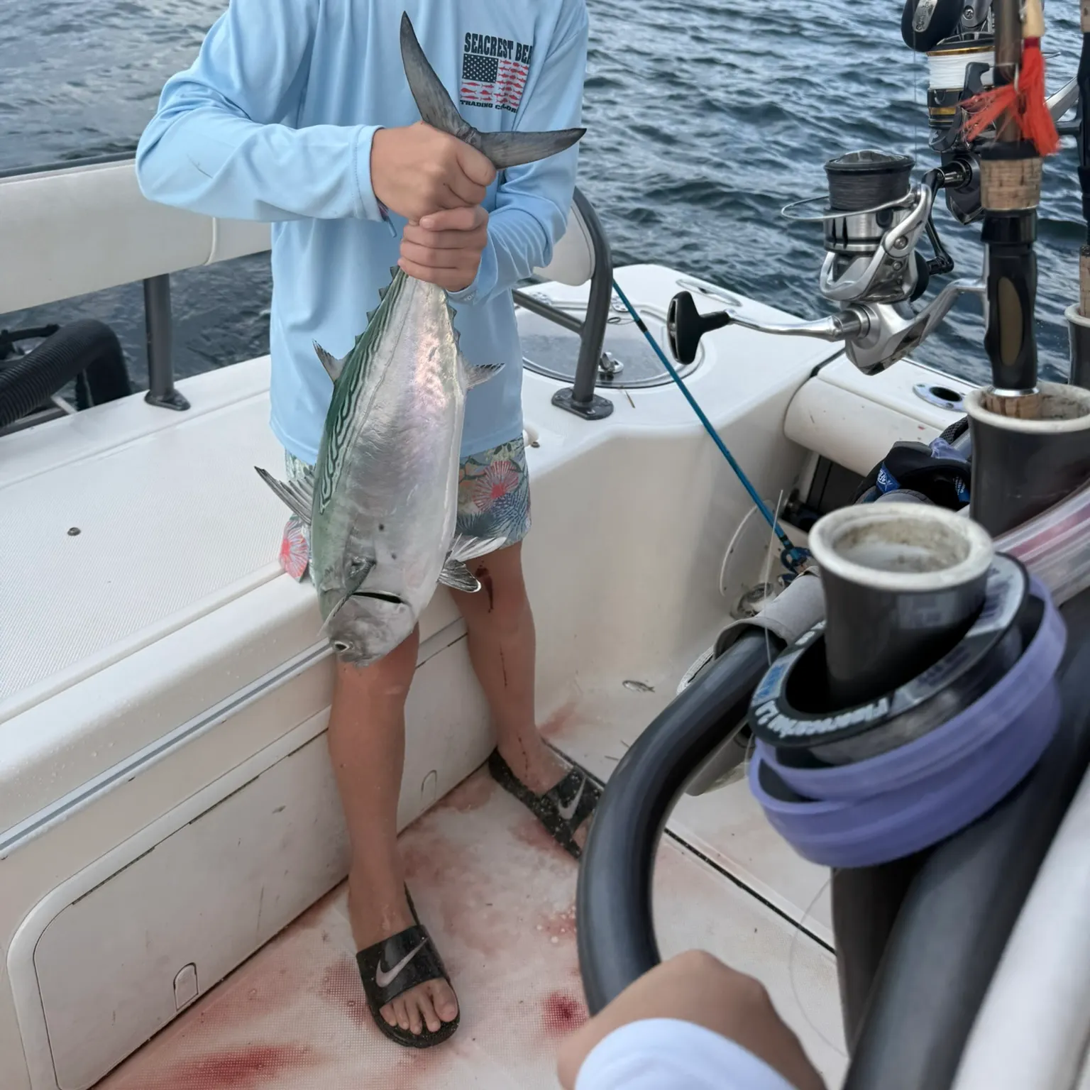 The most recent Atlantic bonito catches on Fishbrain