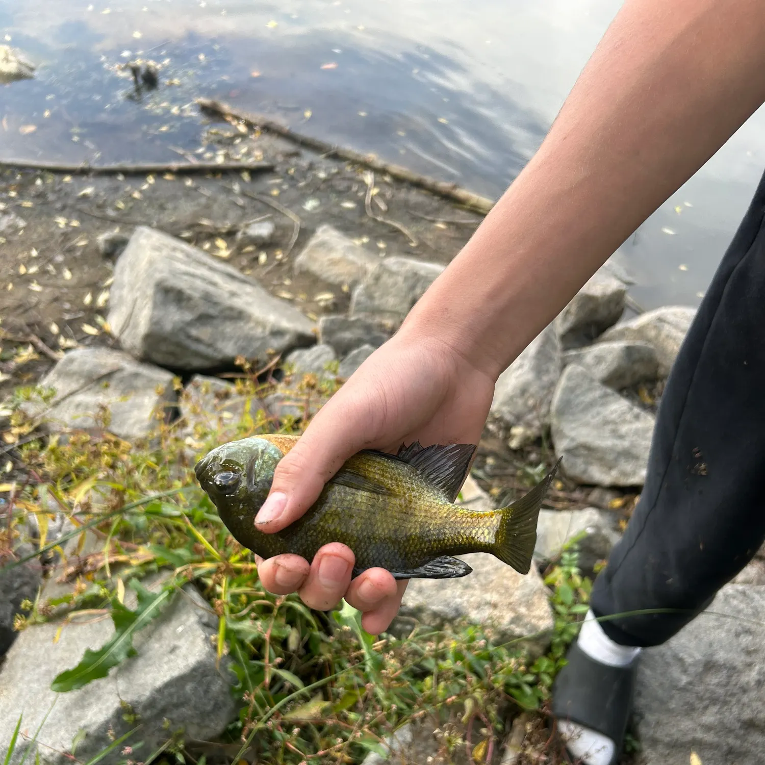 catch