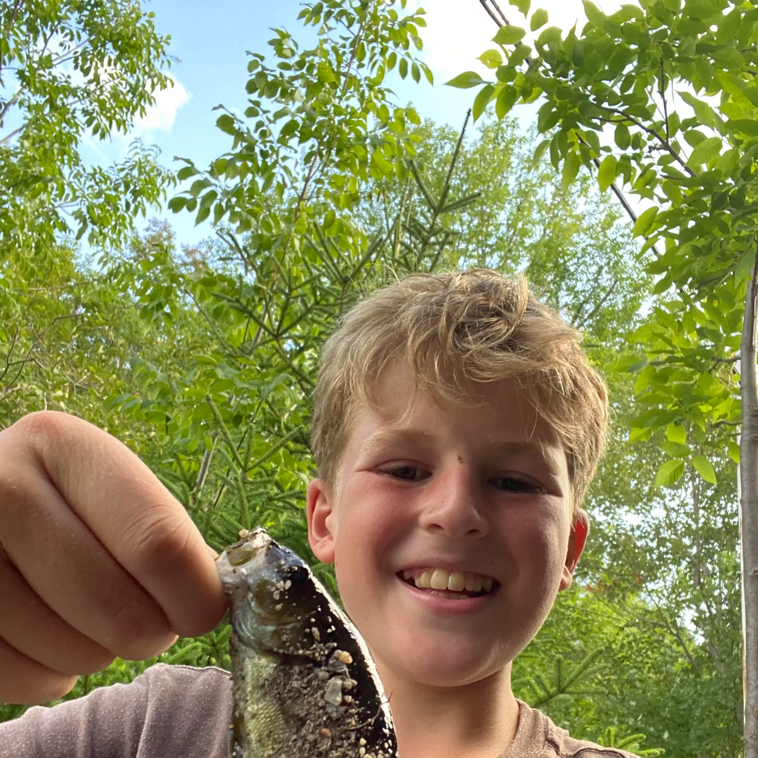 Smallmouth bass caught on Fishbrain