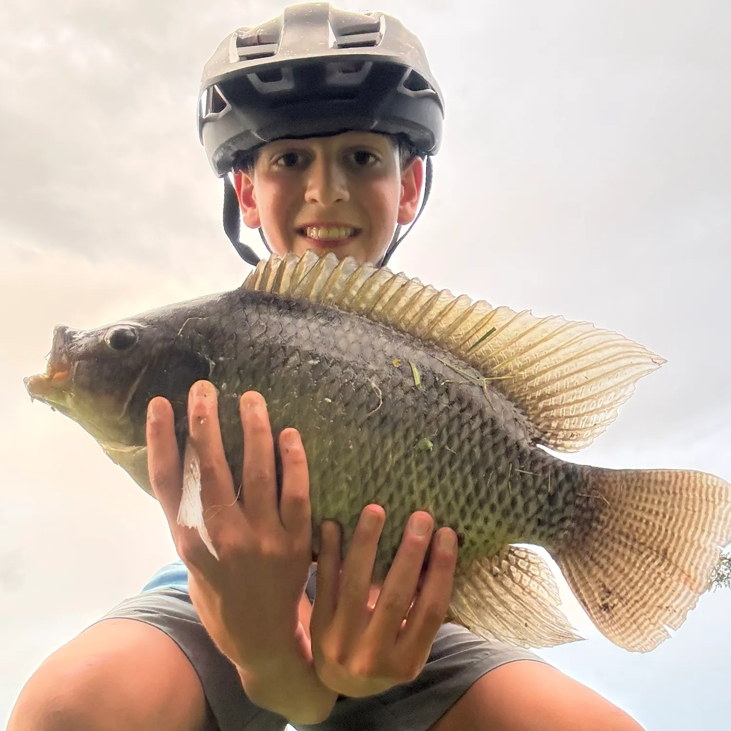 Nile tilapia caught on Fishbrain