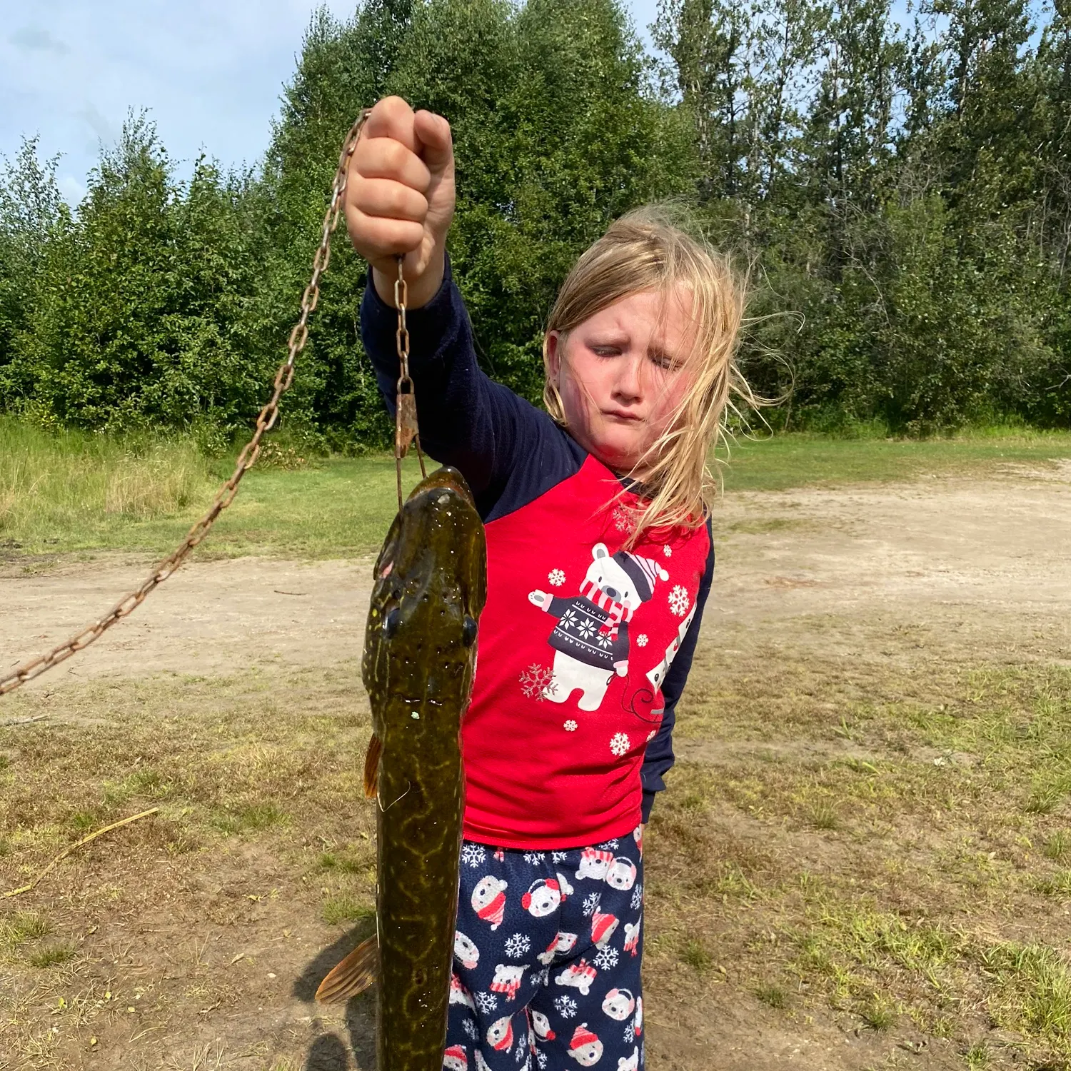 Northern pike caught on Fishbrain