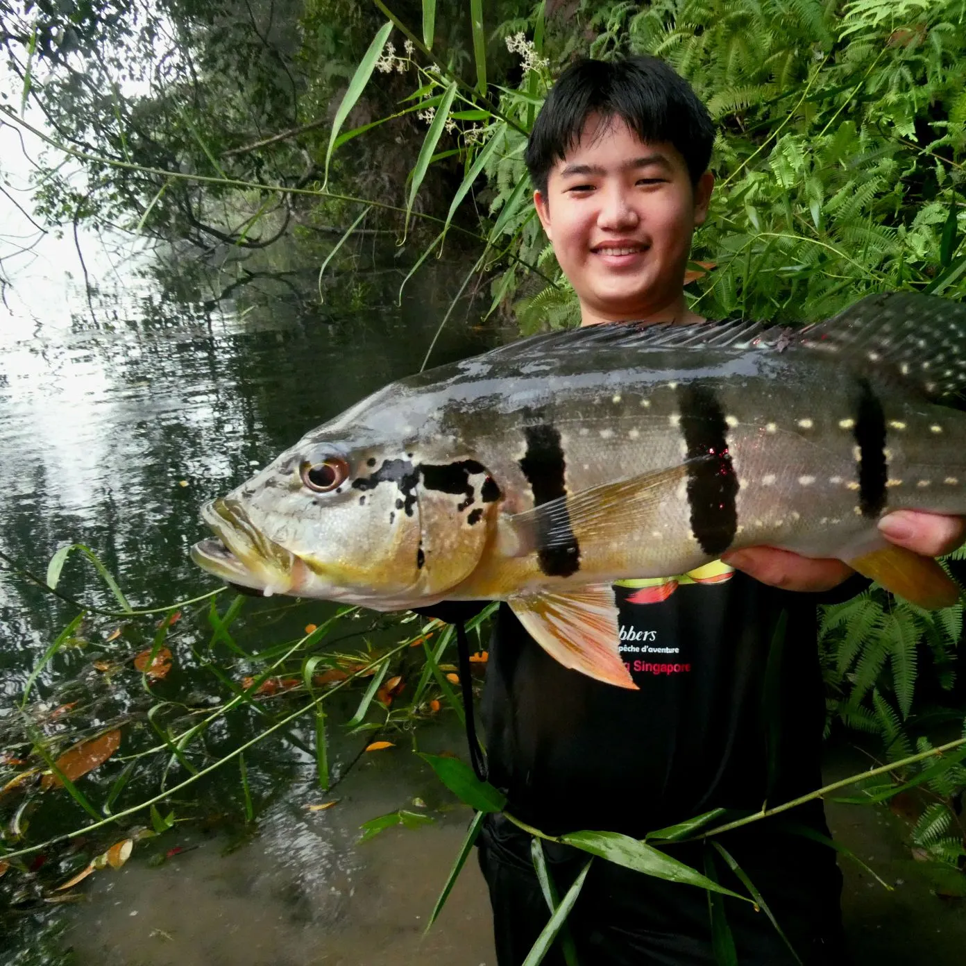 Speckled peacock bass caught on Fishbrain
