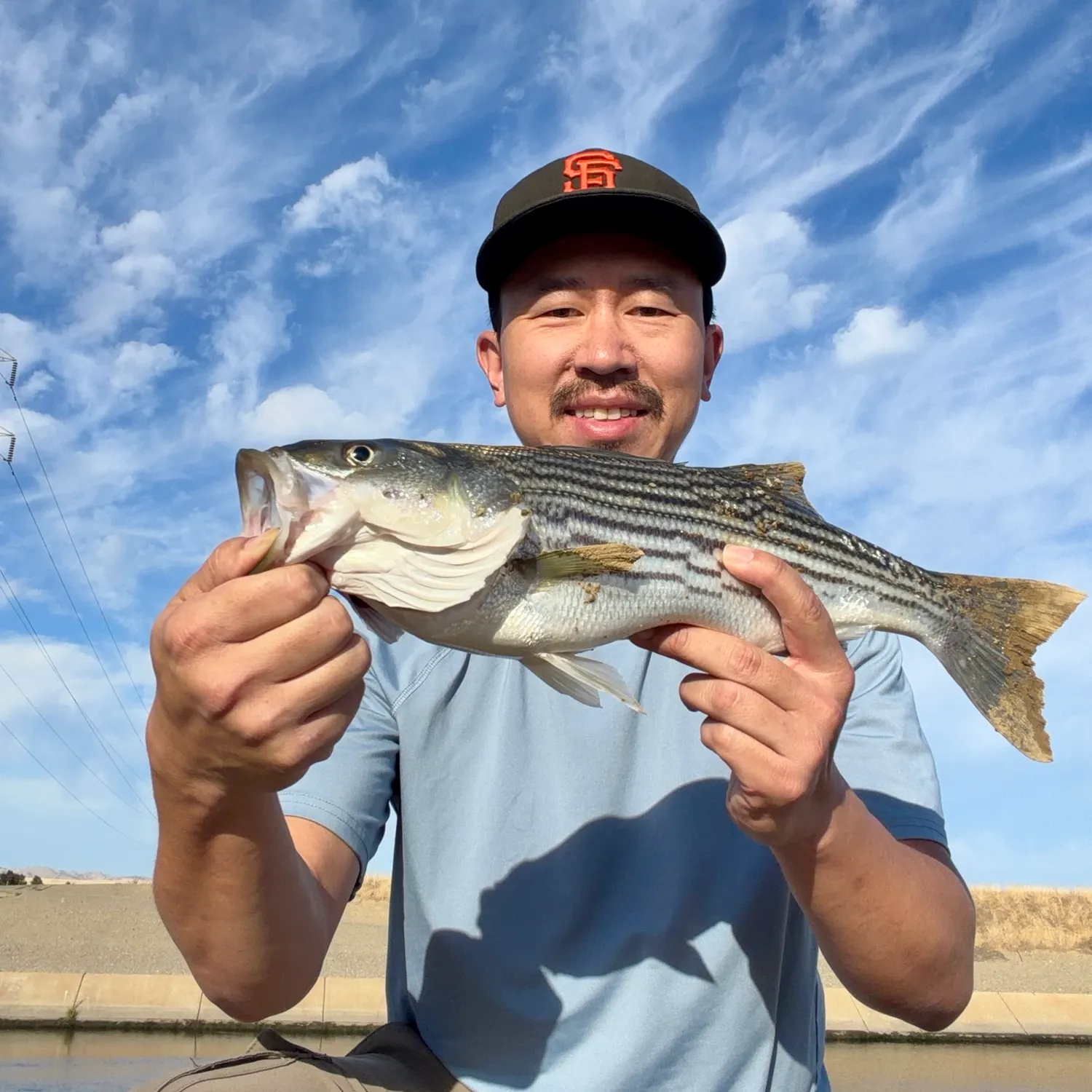 The most recent Striped bass catches on Fishbrain