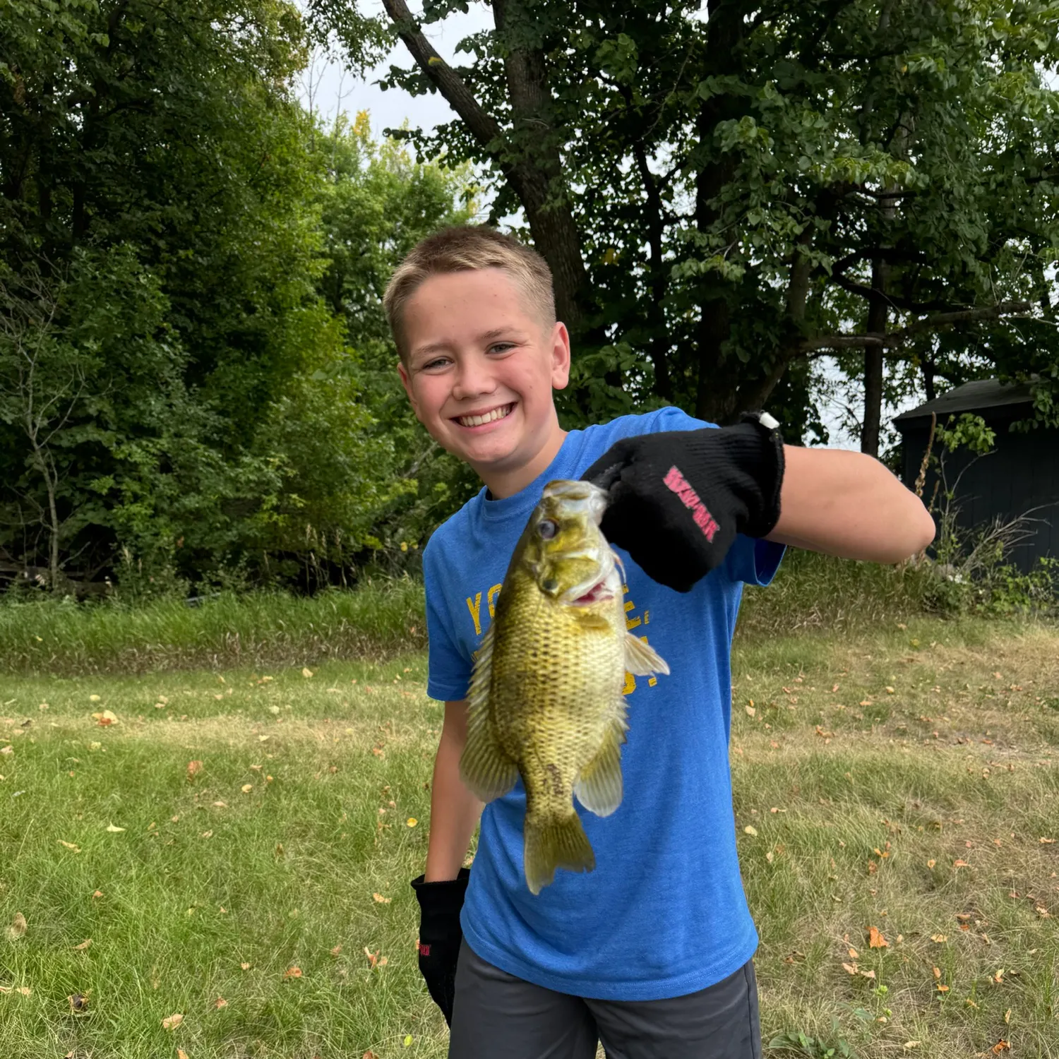 Rock bass caught on Fishbrain