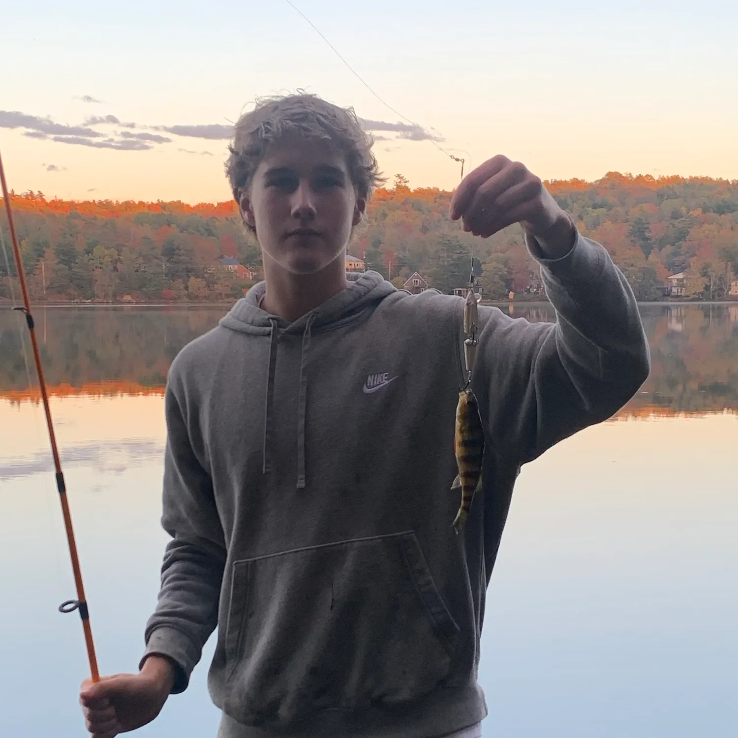 Yellow perch caught on Fishbrain