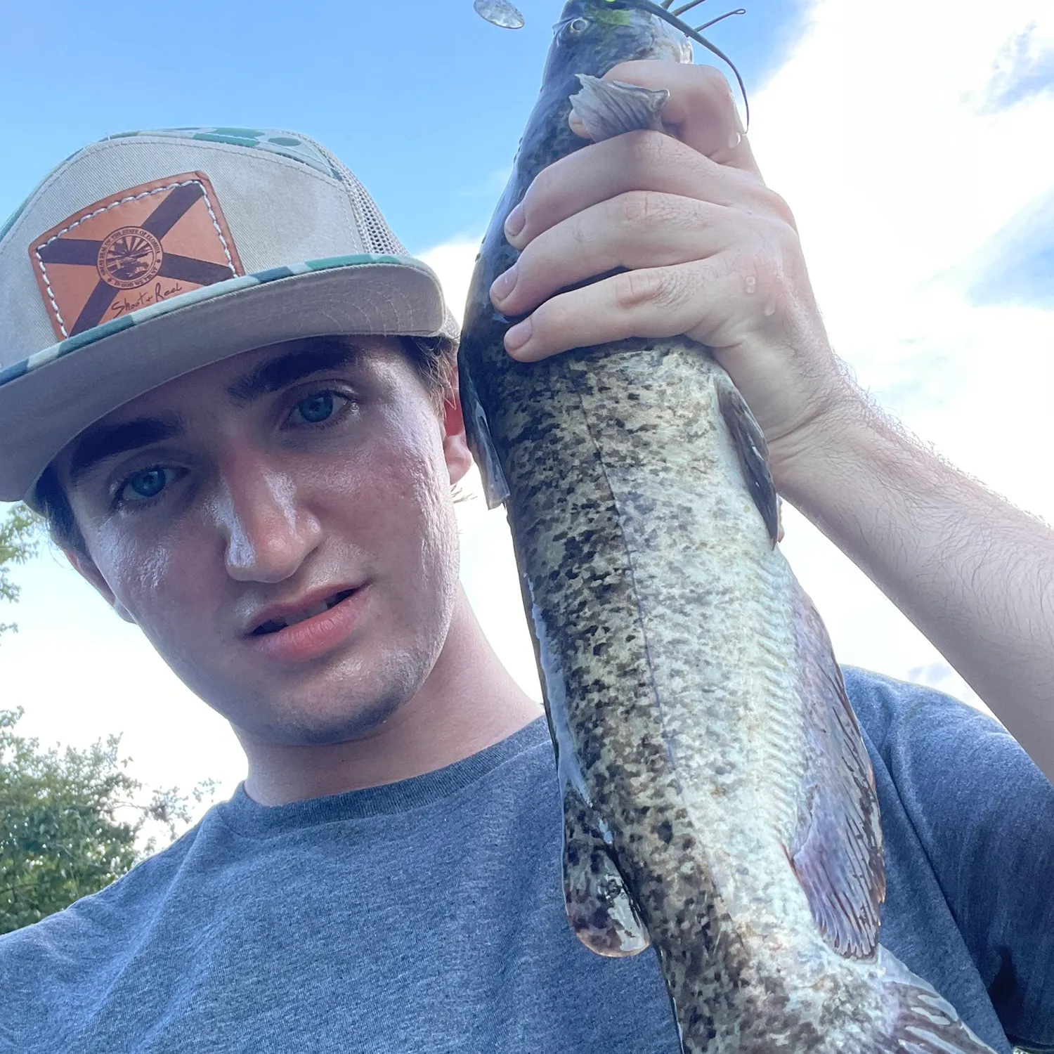Brown bullhead caught on Fishbrain